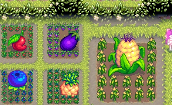 584_2025060422630658 584_2025060422630658